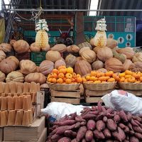 Mi Día de Muertos